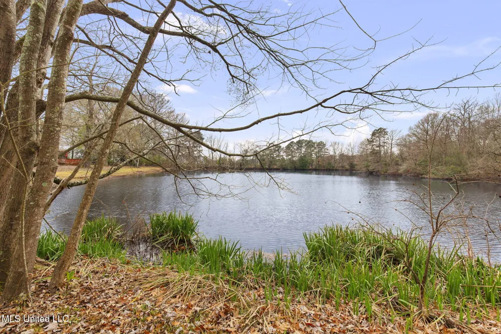 103 Wickstead Drive Clinton, MS 39056