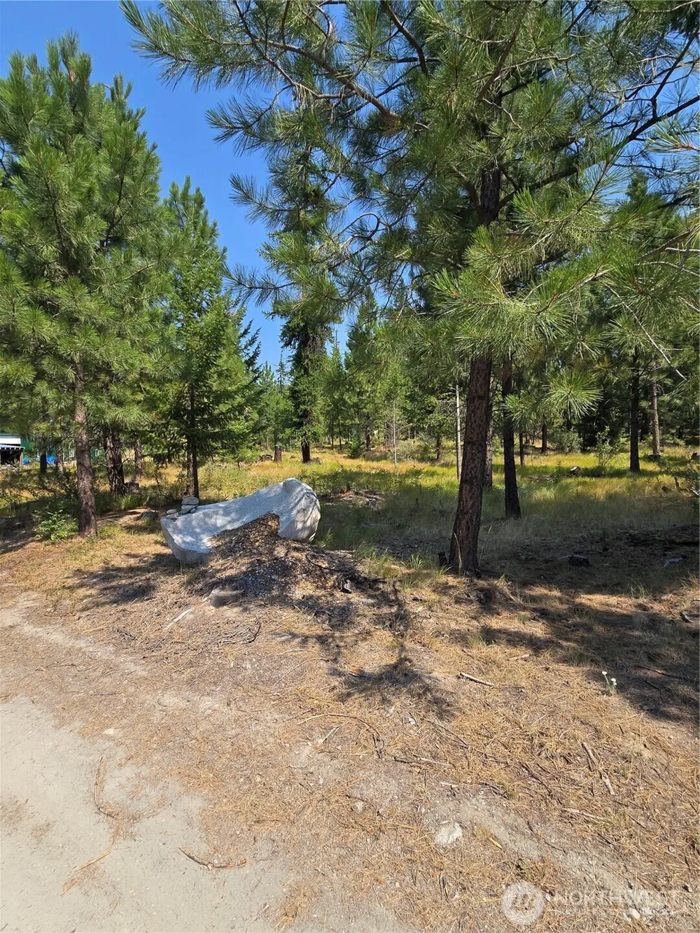 15 Appaloosa Road Tonasket, WA 98855