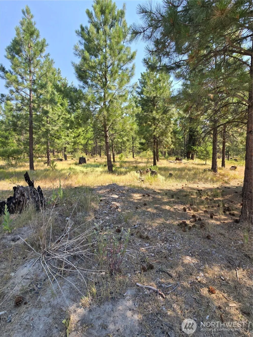 15 Appaloosa Road Tonasket, WA 98855