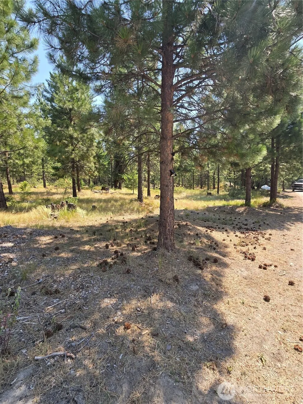 15 Appaloosa Road Tonasket, WA 98855