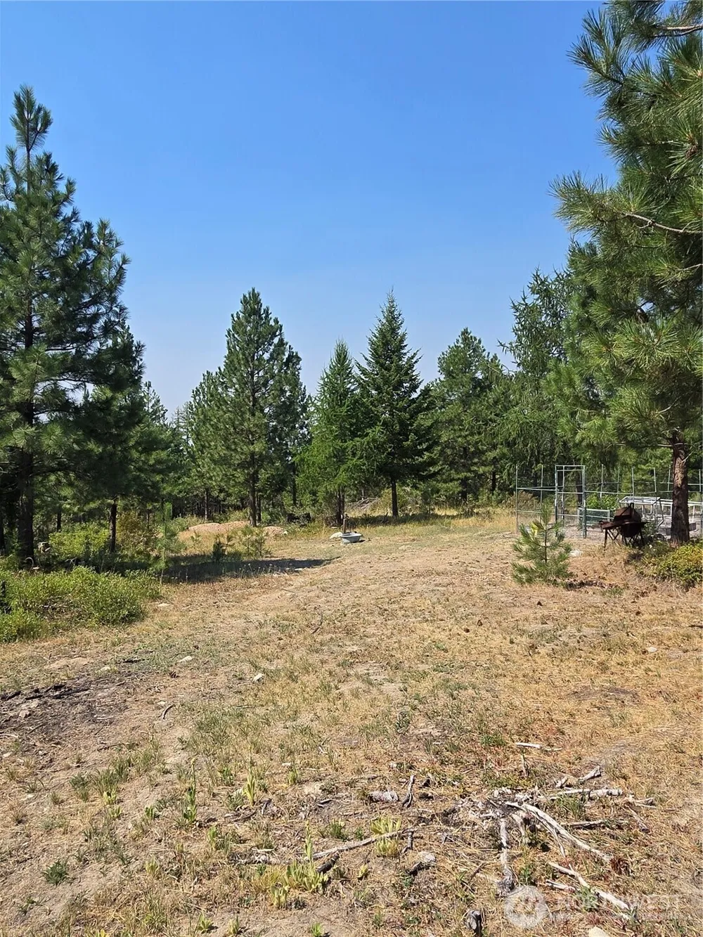 15 Appaloosa Road Tonasket, WA 98855