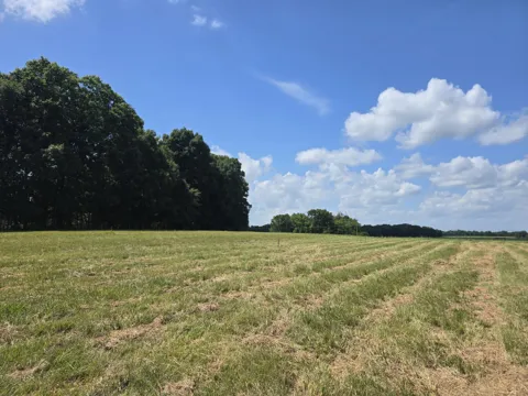 0 Nashville Hwy