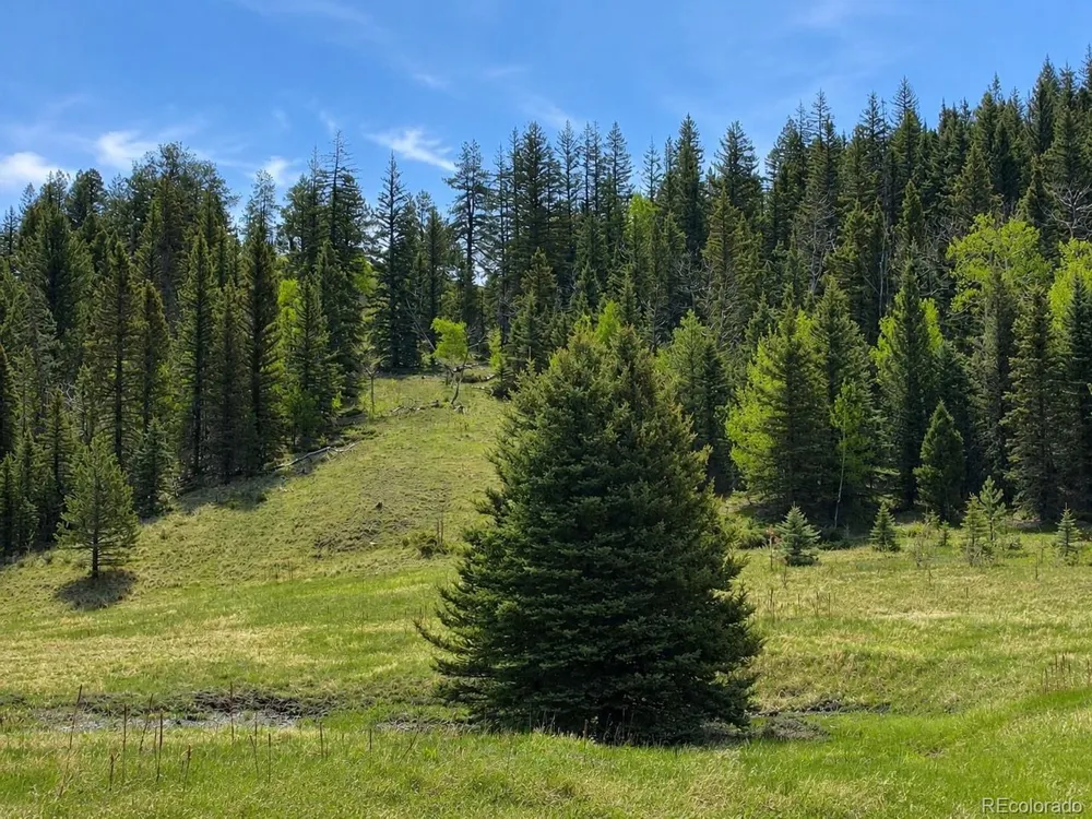1 Co Rd 358 Westcliffe, CO 81252