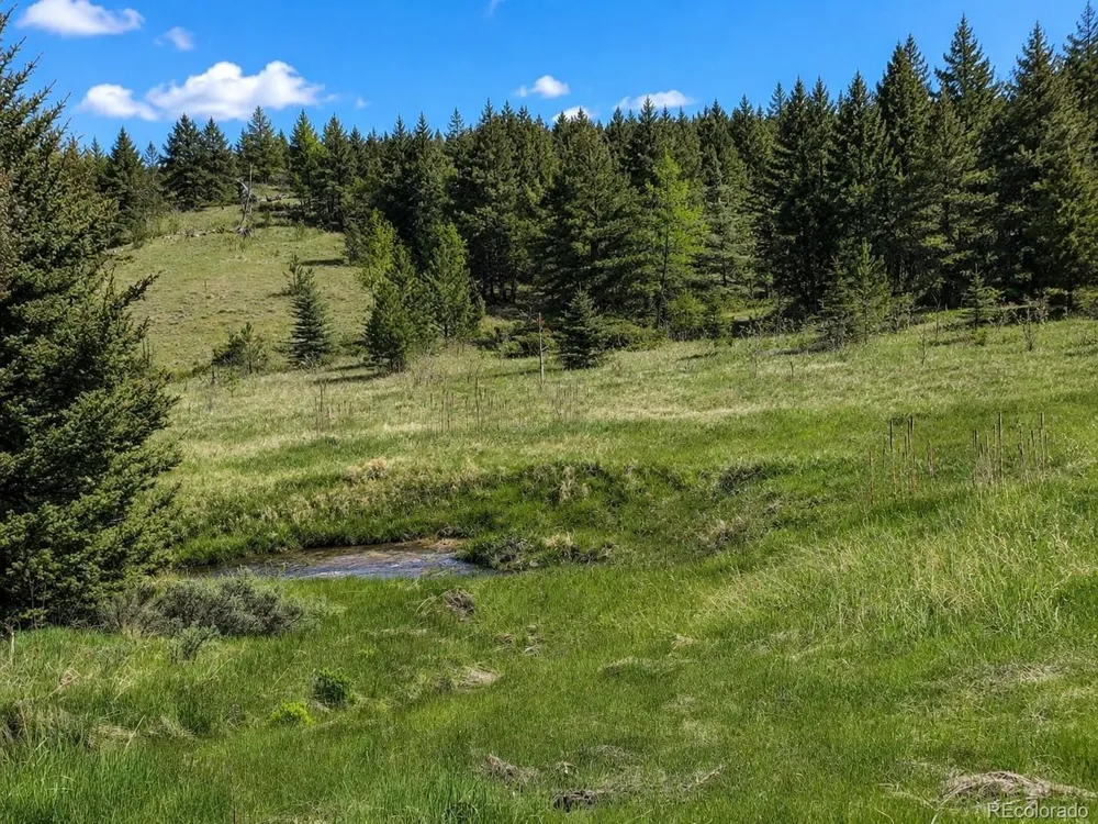 1 Co Rd 358 Westcliffe, CO 81252