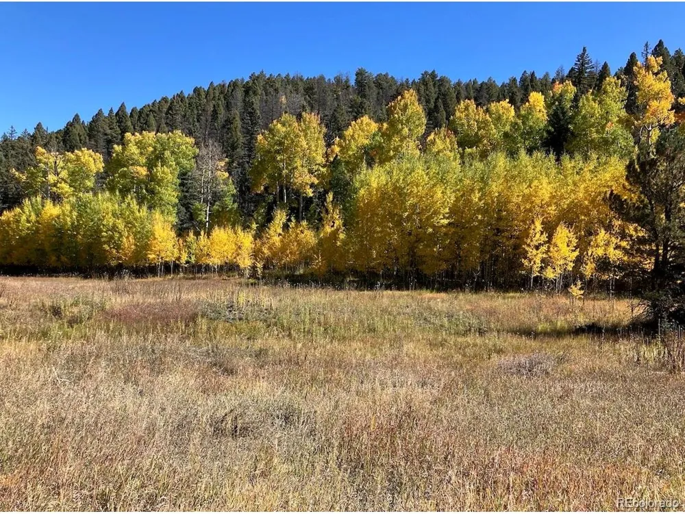 1 Co Rd 358 Westcliffe, CO 81252