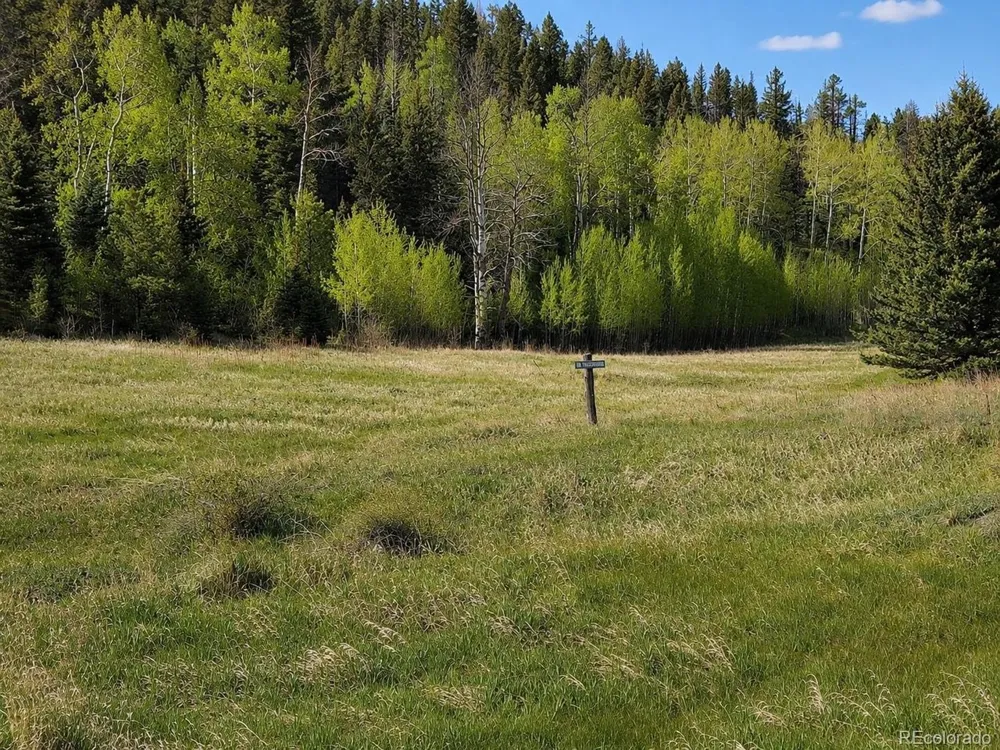 1 Co Rd 358 Westcliffe, CO 81252