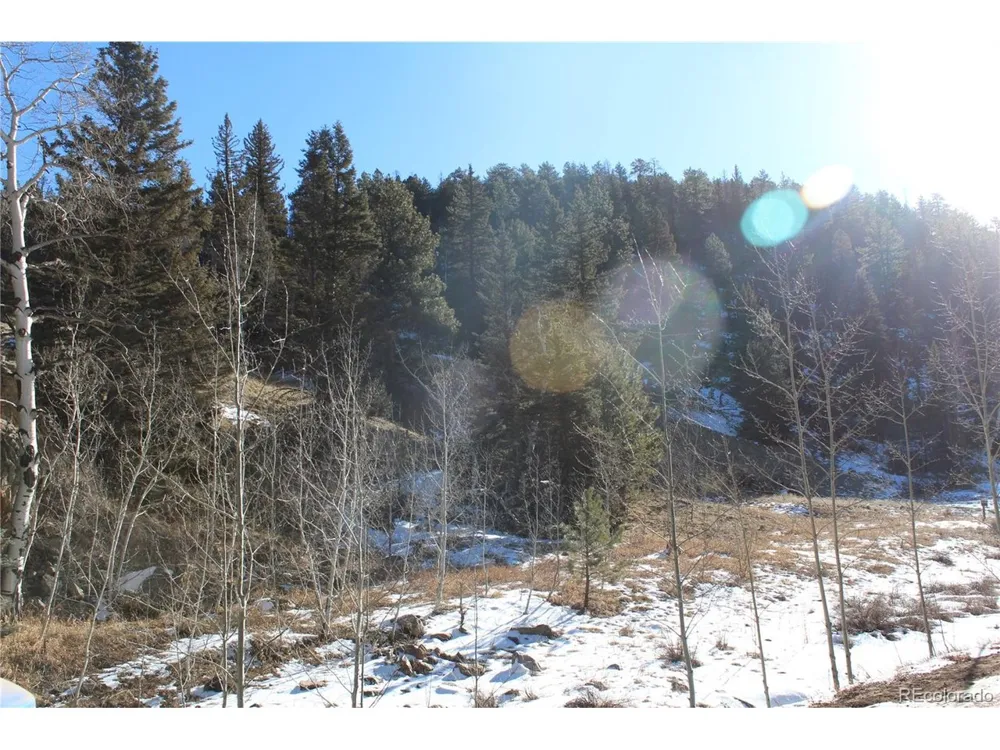 1 Co Rd 358 Westcliffe, CO 81252