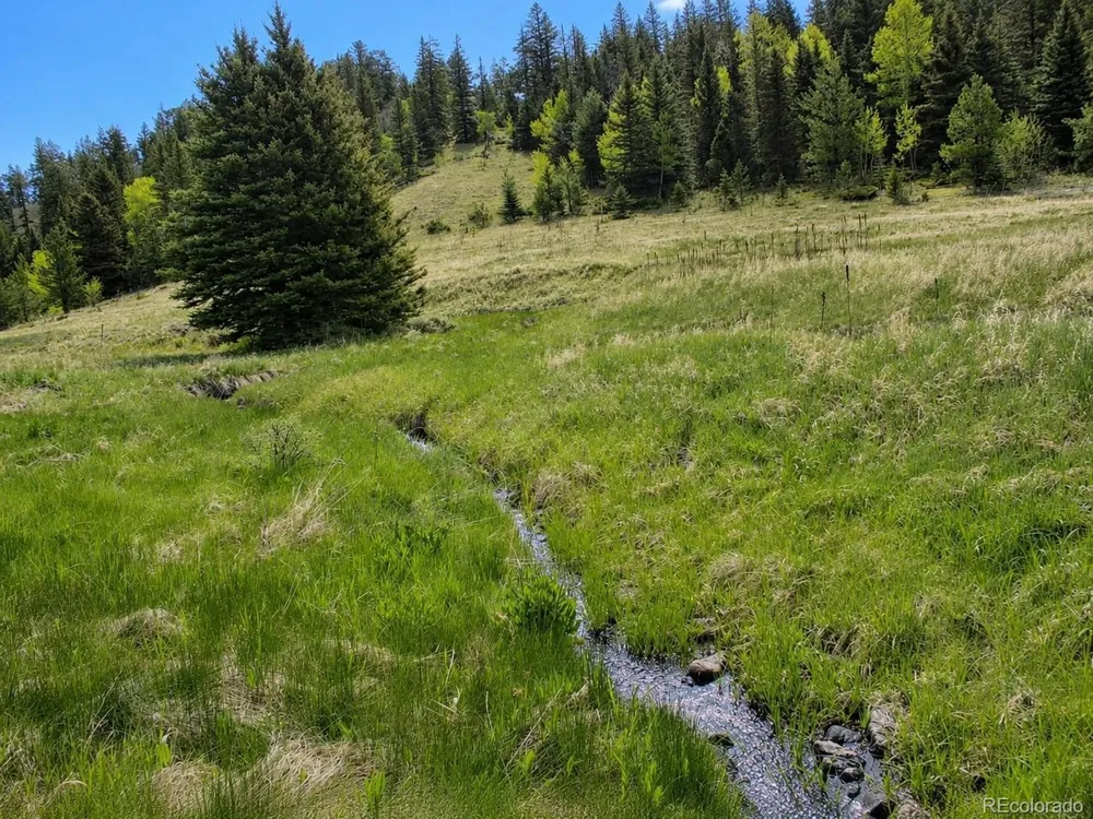 1 Co Rd 358 Westcliffe, CO 81252