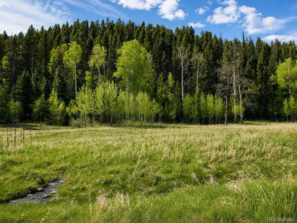 1 Co Rd 358 Westcliffe, CO 81252