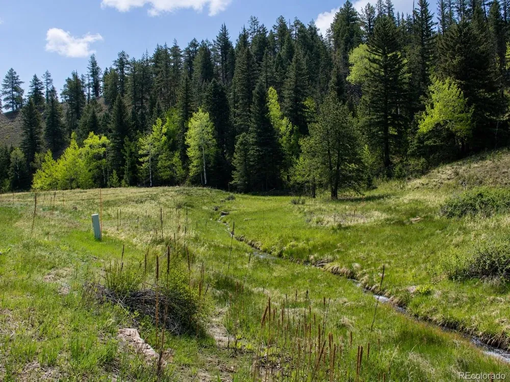 1 Co Rd 358 Westcliffe, CO 81252