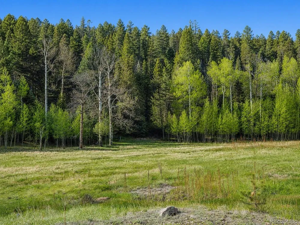 1 Co Rd 358 Westcliffe, CO 81252