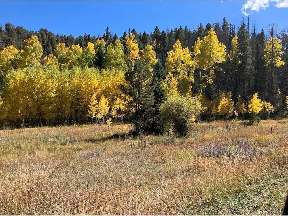 1 Co Rd 358 Westcliffe, CO 81252