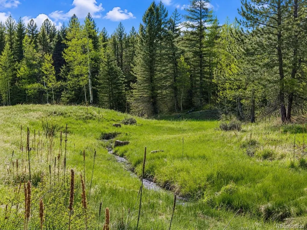 1 Co Rd 358 Westcliffe, CO 81252