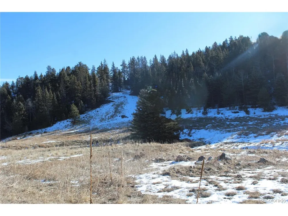 1 Co Rd 358 Westcliffe, CO 81252
