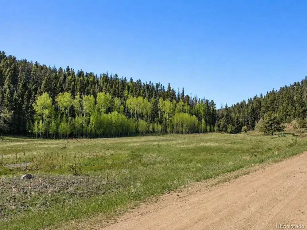 1 Co Rd 358 Westcliffe, CO 81252
