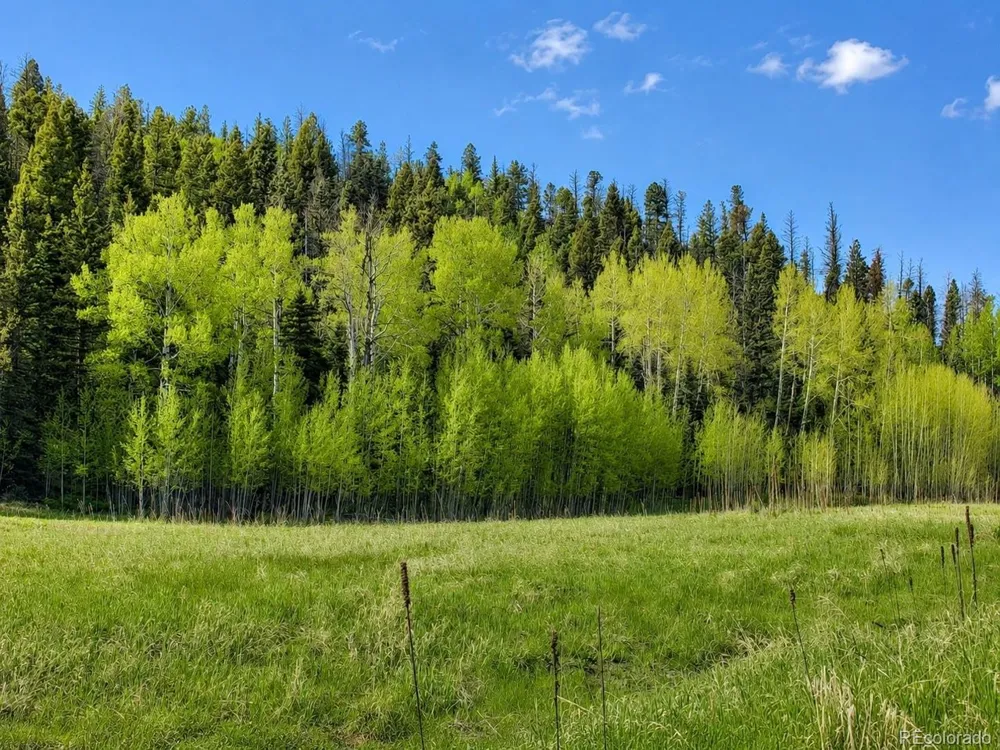 1 Co Rd 358 Westcliffe, CO 81252