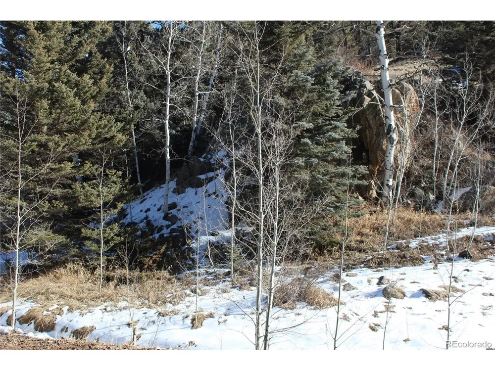 1 Co Rd 358 Westcliffe, CO 81252