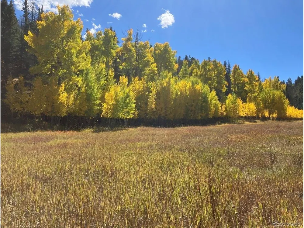 1 Co Rd 358 Westcliffe, CO 81252