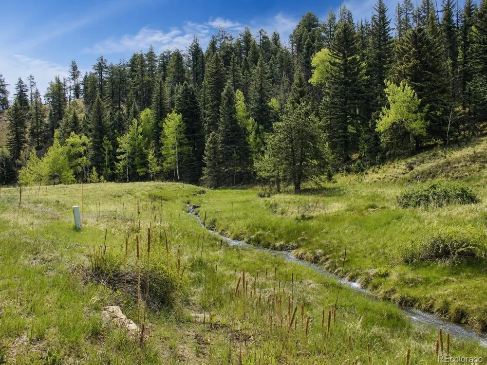 1 Co Rd 358 Westcliffe, CO 81252