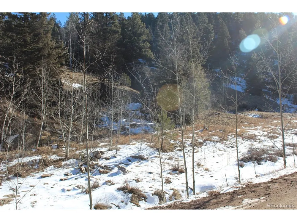 1 Co Rd 358 Westcliffe, CO 81252