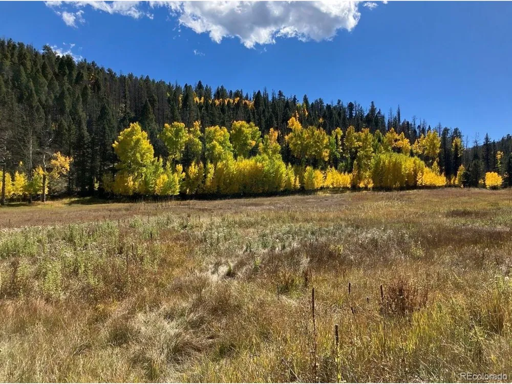1 Co Rd 358 Westcliffe, CO 81252