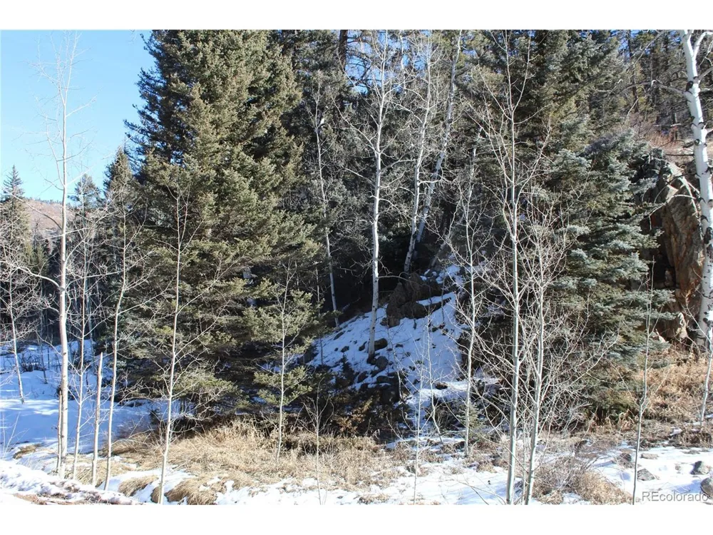1 Co Rd 358 Westcliffe, CO 81252