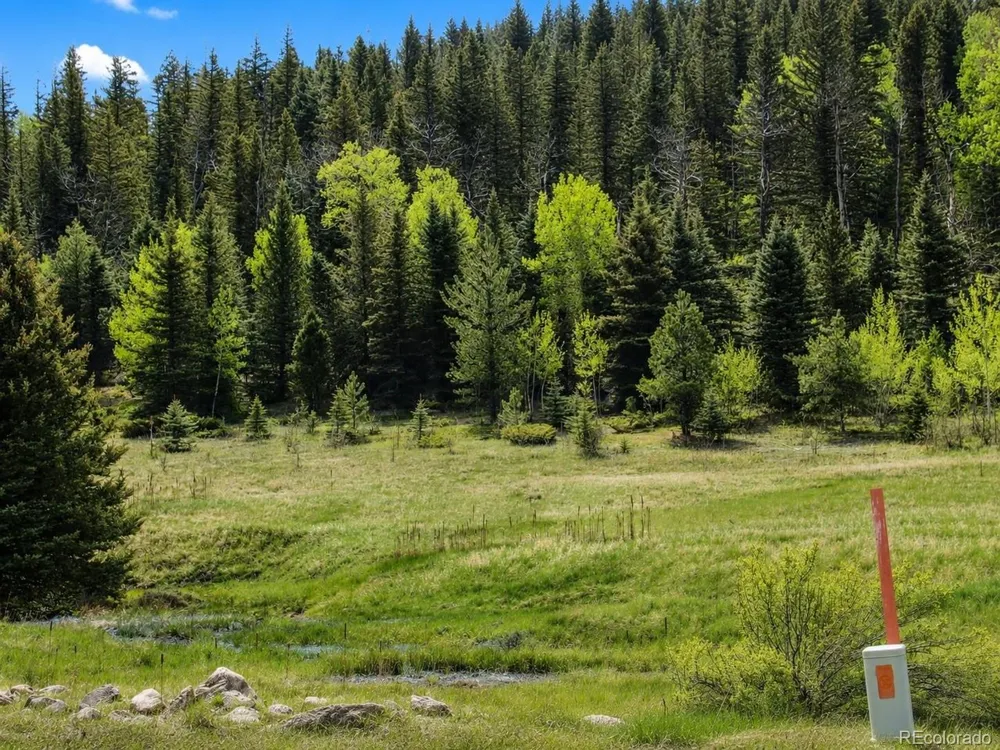 1 Co Rd 358 Westcliffe, CO 81252
