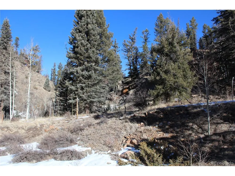 1 Co Rd 358 Westcliffe, CO 81252