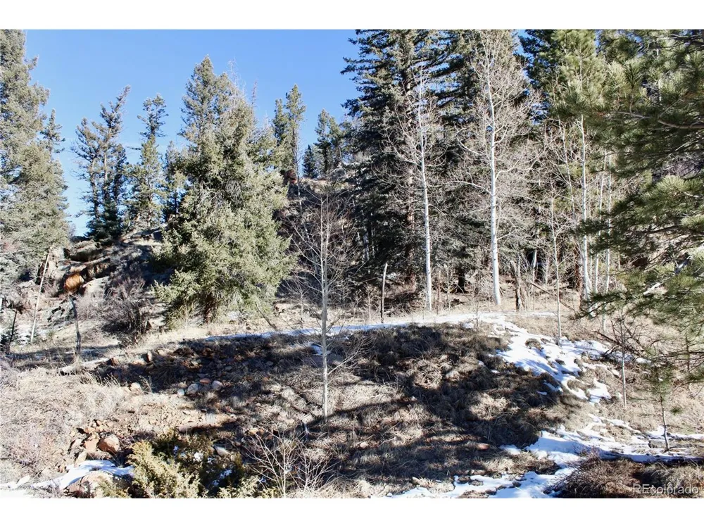 1 Co Rd 358 Westcliffe, CO 81252