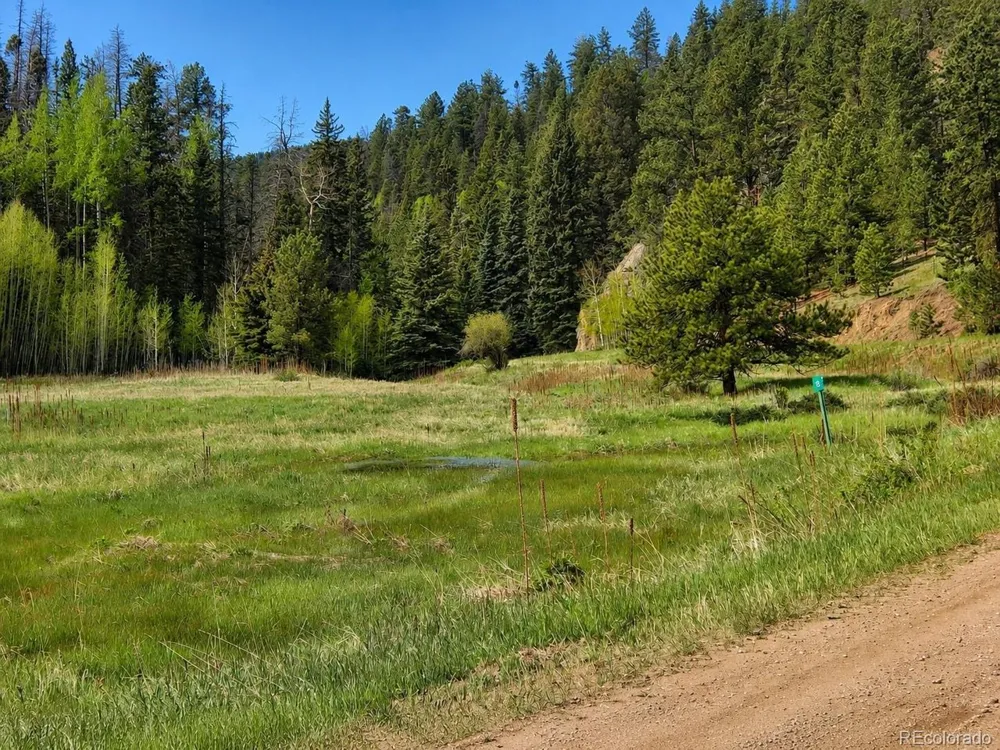 1 Co Rd 358 Westcliffe, CO 81252