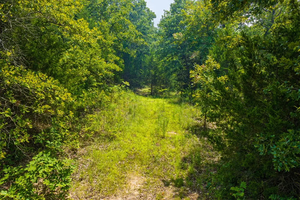 1 364 ROAD Wewoka, OK 74884