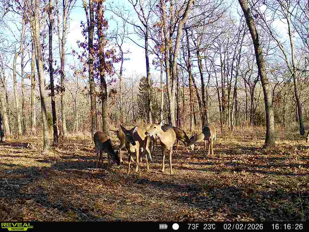 1 364 ROAD Wewoka, OK 74884