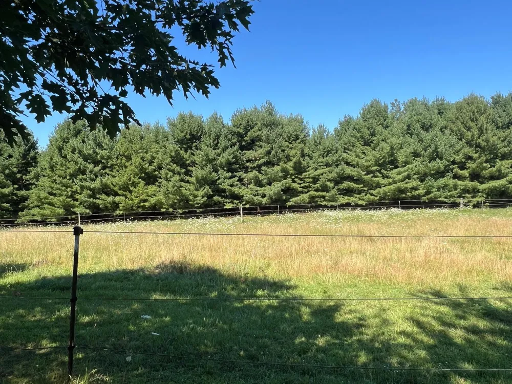 11780 Grass Lake Road Hillsdale, MI 49242