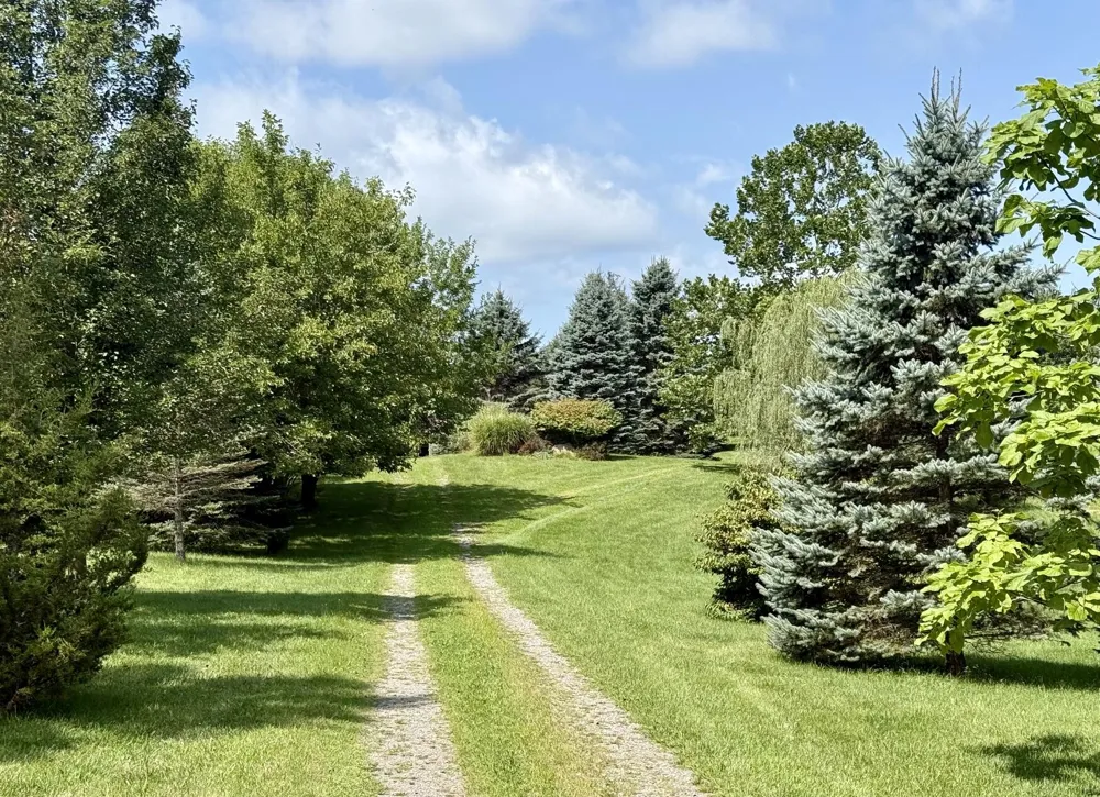 11780 Grass Lake Road Hillsdale, MI 49242