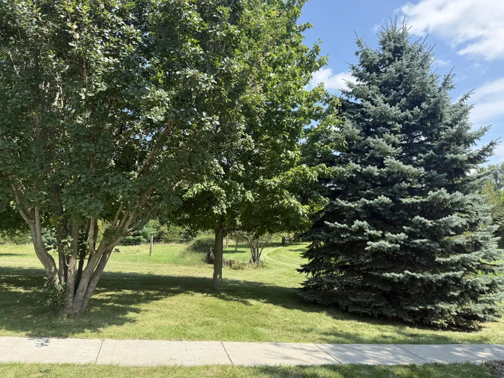 11780 Grass Lake Road Hillsdale, MI 49242