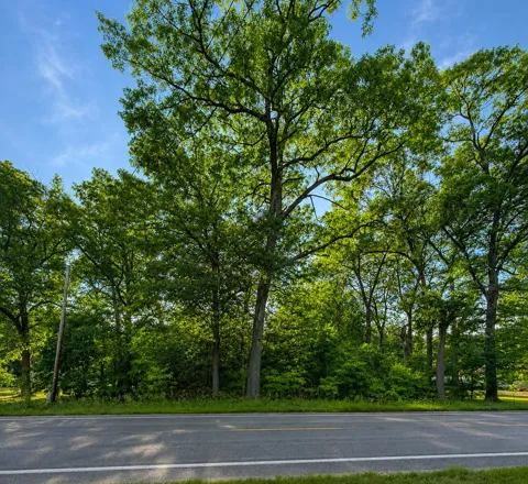 S Mill Iron Road