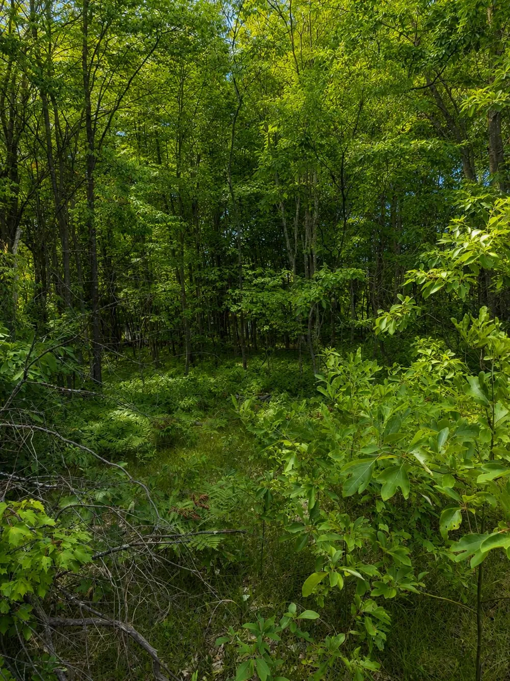 S Mill Iron Road Muskegon, MI 49442