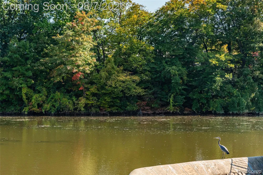 18144 Cascade Drive Northville Township, MI 48168
