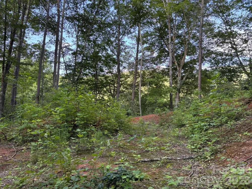 Lot 41 Peace Wood Lane #41 Hendersonville, NC 28792