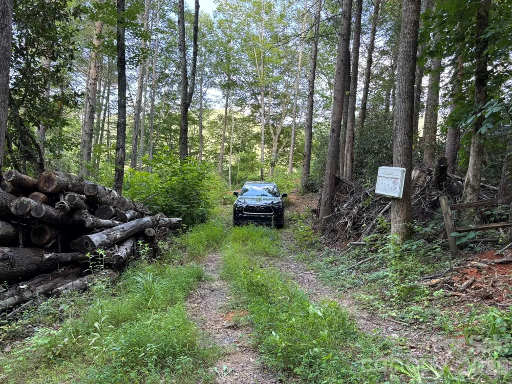 Lot 41 Peace Wood Lane #41 Hendersonville, NC 28792