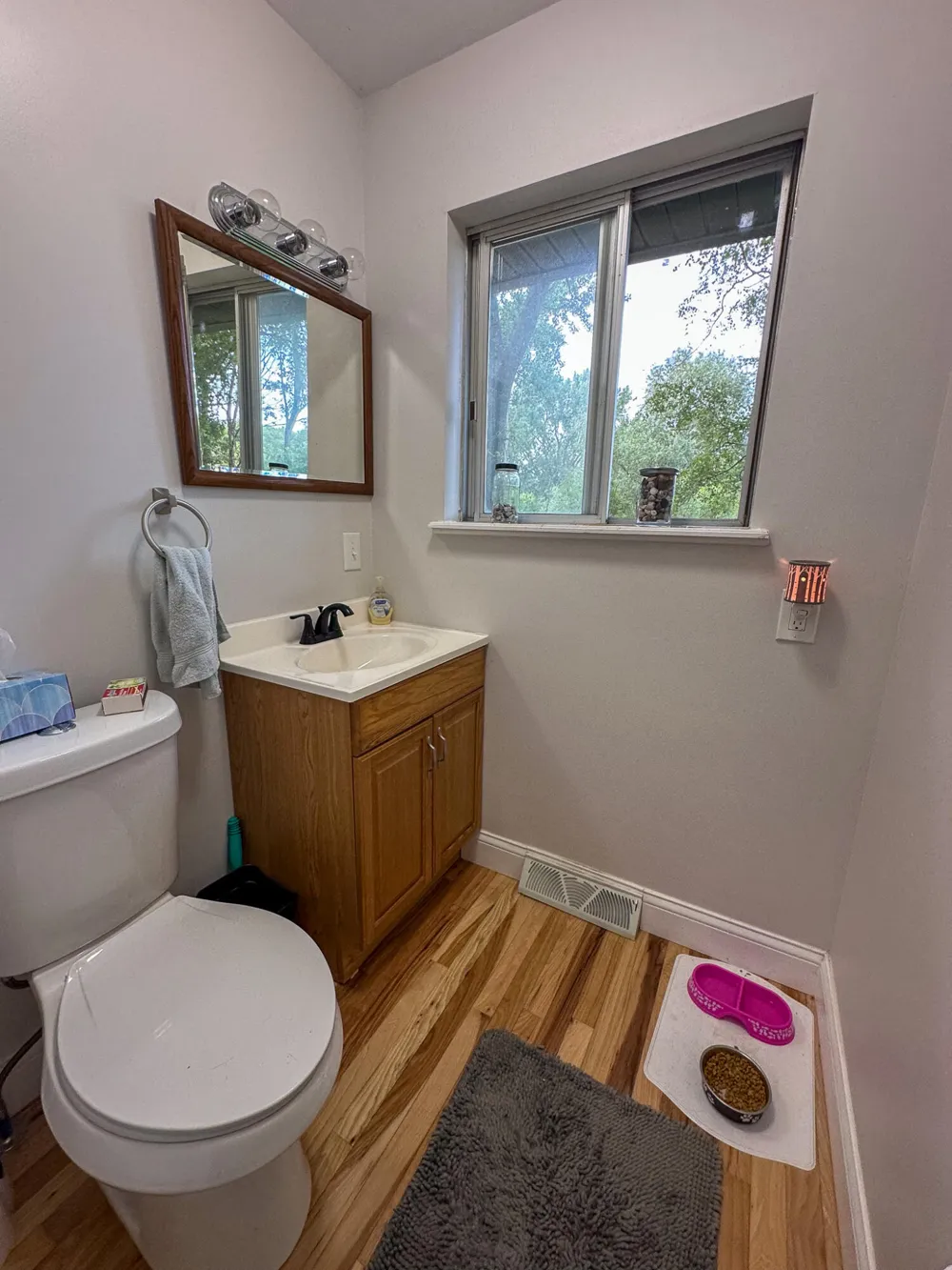 10013 E Beal City Road Mount Pleasant, MI 48858