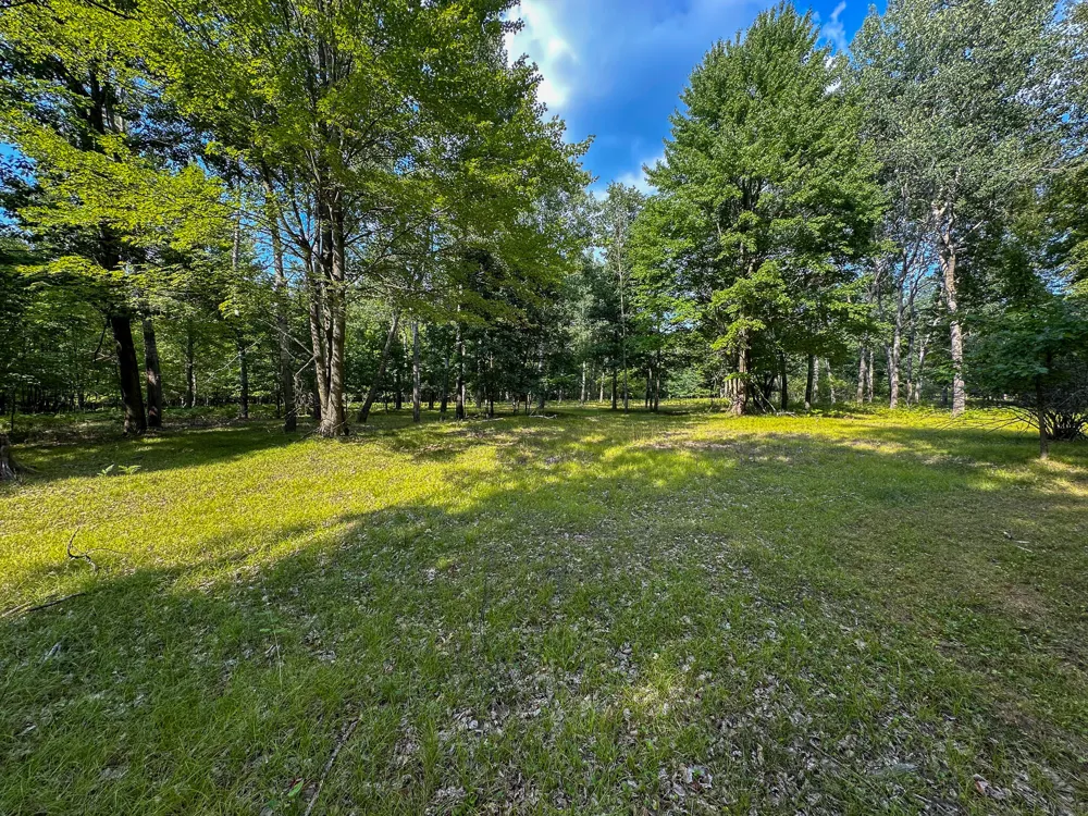10013 E Beal City Road Mount Pleasant, MI 48858