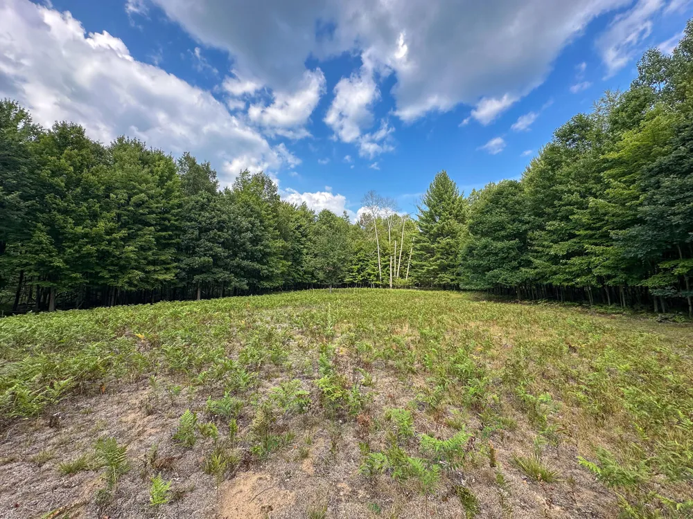 10013 E Beal City Road Mount Pleasant, MI 48858