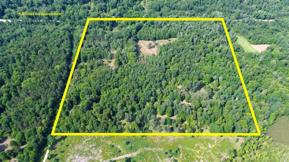 10013 E Beal City Road Mount Pleasant, MI 48858
