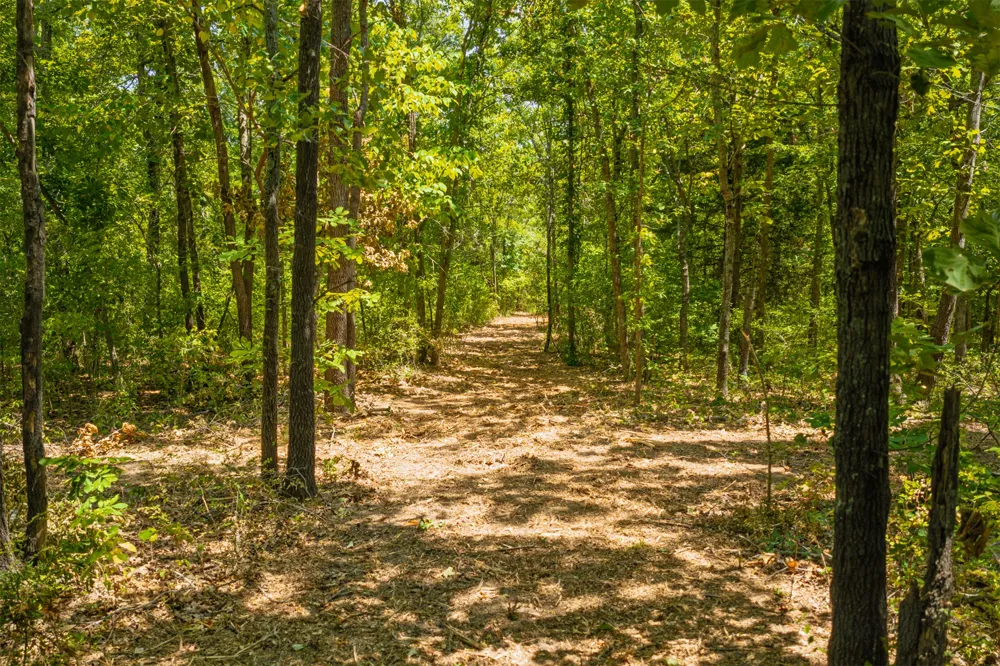 3 364 ROAD Wewoka, OK 74884