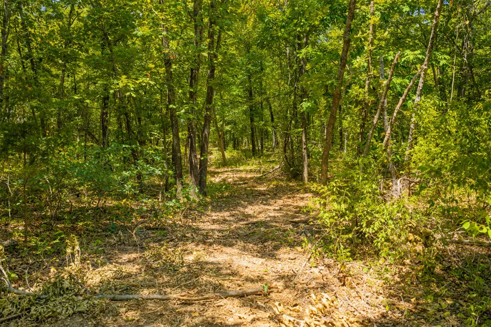 3 364 ROAD Wewoka, OK 74884