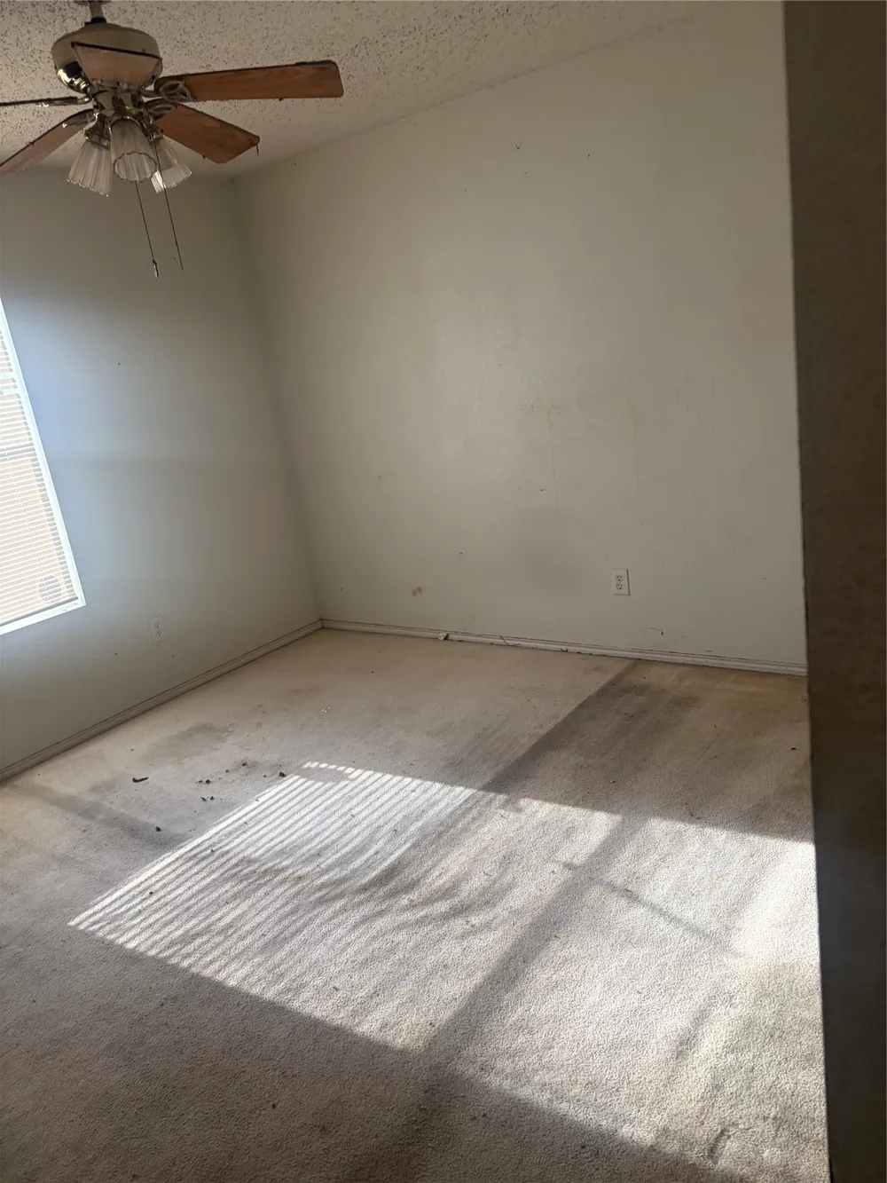 1229 Longleaf Drive Cedar Hill, TX 75104