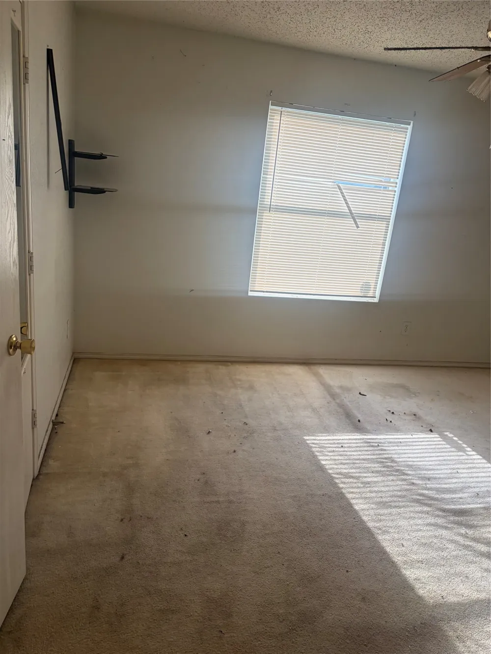 1229 Longleaf Drive Cedar Hill, TX 75104