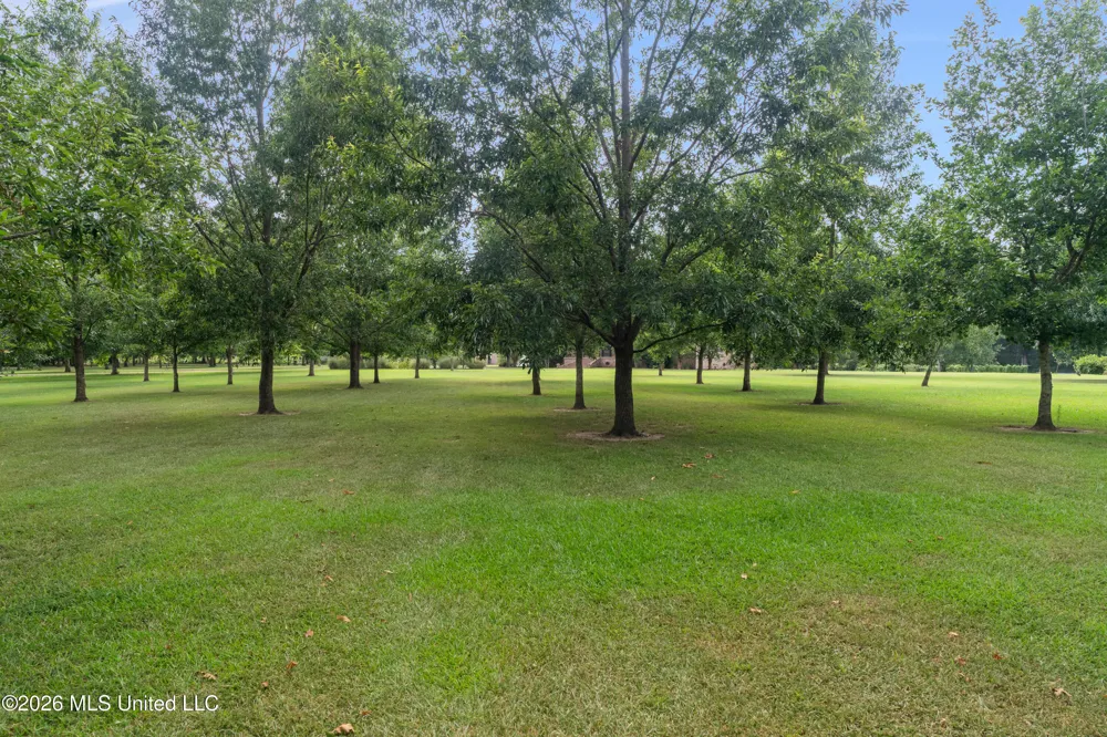 7912-a U.s. 98 Summit, MS 39666