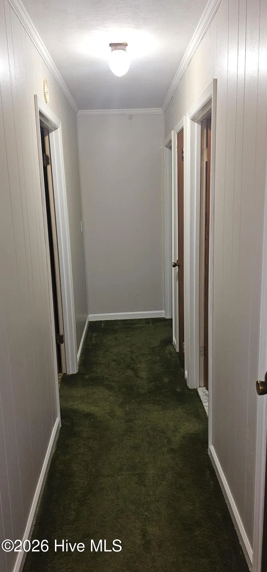 308 Charles Street Rich Square, NC 27869
